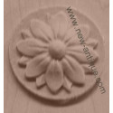 Applique resin / wood 302
