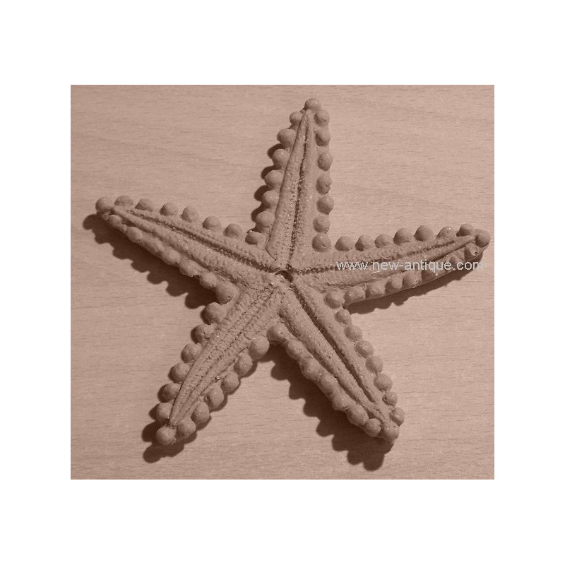 Applique resin / wood 356