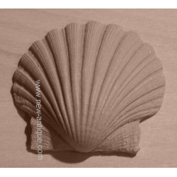 Moulure Nº 358