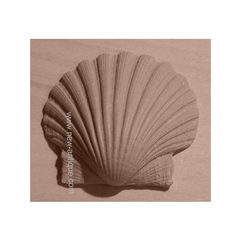 Moulure Nº 358