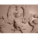 Applique resin / wood 427