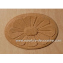 Applique 450