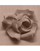 moulures en forme de fleurs