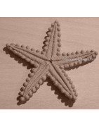 moulure Coquillage